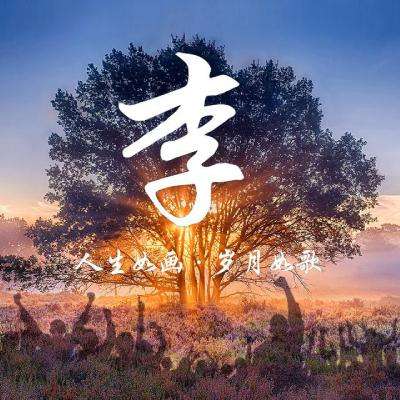 昆虫战争手游下载